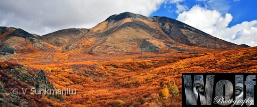 Yukon wilderness 009 Copyright Villayat Sunkmanitu.jpg